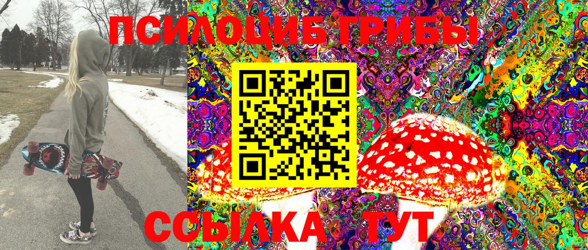 Псилоцибиновые грибы прущие грибы Калуга